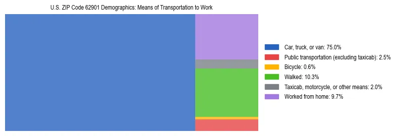Treemap showing means of transportation to work distribution in US ZIP Code 62901.
