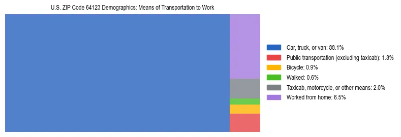 Treemap showing means of transportation to work distribution in US ZIP Code 64123.