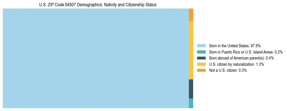 Treemap showing the population distribution by nativity and citizenship status in US ZIP Code 64507 based on U.S. Census data.