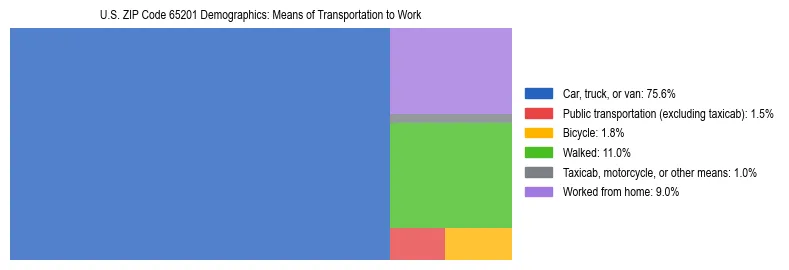 Treemap showing means of transportation to work distribution in US ZIP Code 65201.