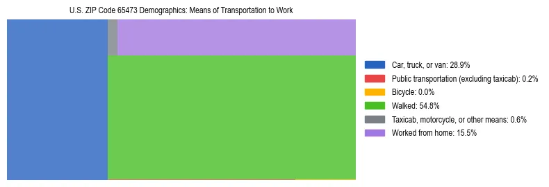 Treemap showing means of transportation to work distribution in US ZIP Code 65473.