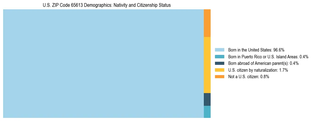 Treemap showing the population distribution by nativity and citizenship status in US ZIP Code 65613 based on U.S. Census data.