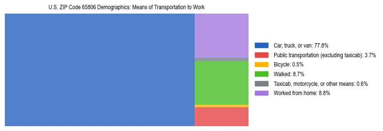 Treemap showing means of transportation to work distribution in US ZIP Code 65806.