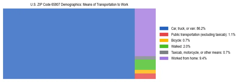 Treemap showing means of transportation to work distribution in US ZIP Code 65807.