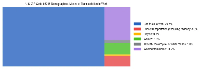 Treemap showing means of transportation to work distribution in US ZIP Code 66046.