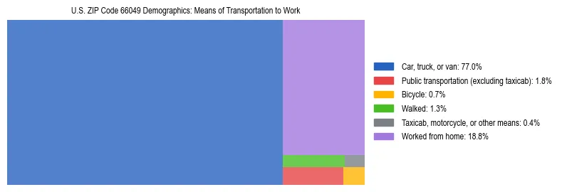Treemap showing means of transportation to work distribution in US ZIP Code 66049.