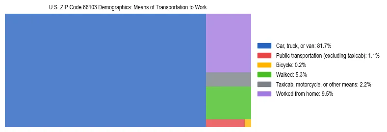Treemap showing means of transportation to work distribution in US ZIP Code 66103.