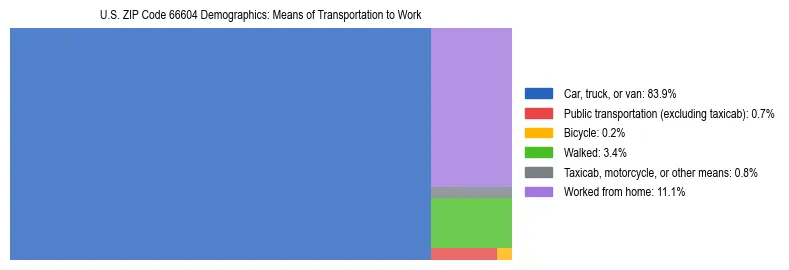 Treemap showing means of transportation to work distribution in US ZIP Code 66604.