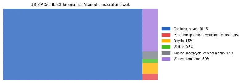 Treemap showing means of transportation to work distribution in US ZIP Code 67203.
