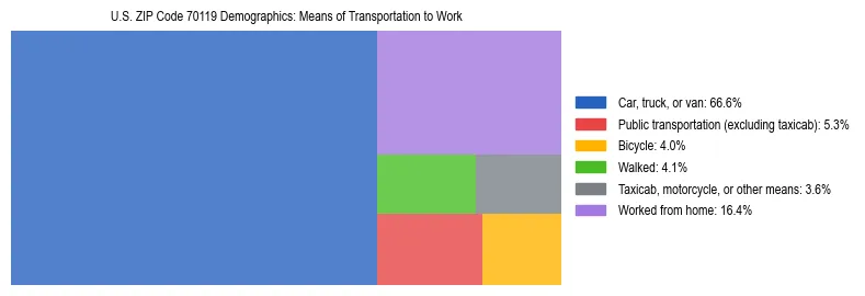 Treemap showing means of transportation to work distribution in US ZIP Code 70119.