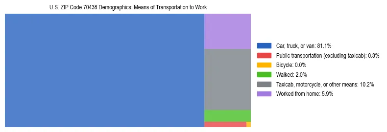 Treemap showing means of transportation to work distribution in US ZIP Code 70438.