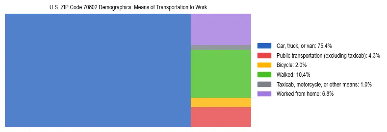 Treemap showing means of transportation to work distribution in US ZIP Code 70802.