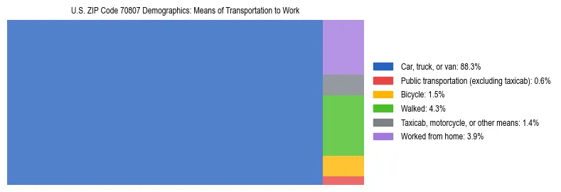 Treemap showing means of transportation to work distribution in US ZIP Code 70807.