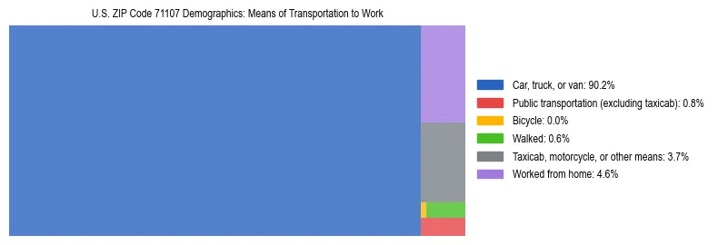 Treemap showing means of transportation to work distribution in US ZIP Code 71107.