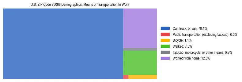 Treemap showing means of transportation to work distribution in US ZIP Code 73069.