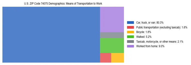 Treemap showing means of transportation to work distribution in US ZIP Code 74075.