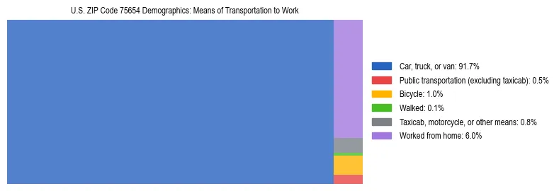 Treemap showing means of transportation to work distribution in US ZIP Code 75654.