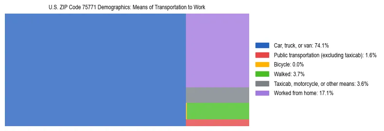 Treemap showing means of transportation to work distribution in US ZIP Code 75771.