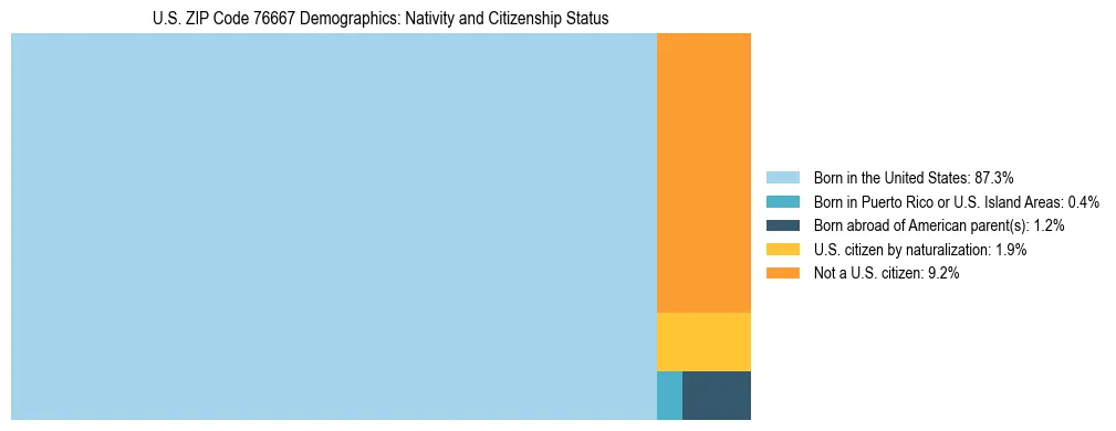 Treemap showing the population distribution by nativity and citizenship status in US ZIP Code 76667 based on U.S. Census data.