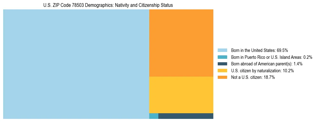 Treemap showing the population distribution by nativity and citizenship status in US ZIP Code 78503 based on U.S. Census data.