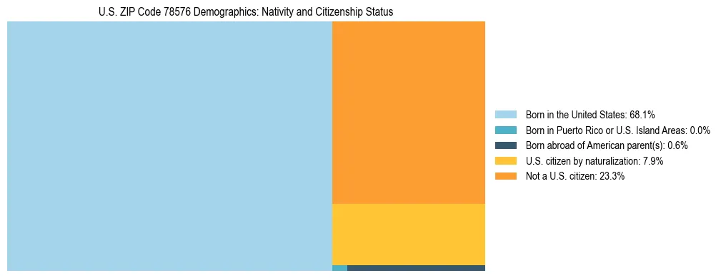 Treemap showing the population distribution by nativity and citizenship status in US ZIP Code 78576 based on U.S. Census data.