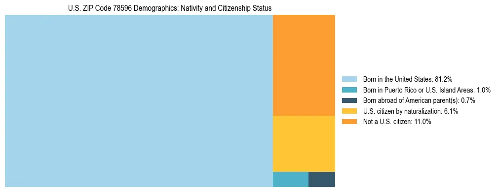 Treemap showing the population distribution by nativity and citizenship status in US ZIP Code 78596 based on U.S. Census data.