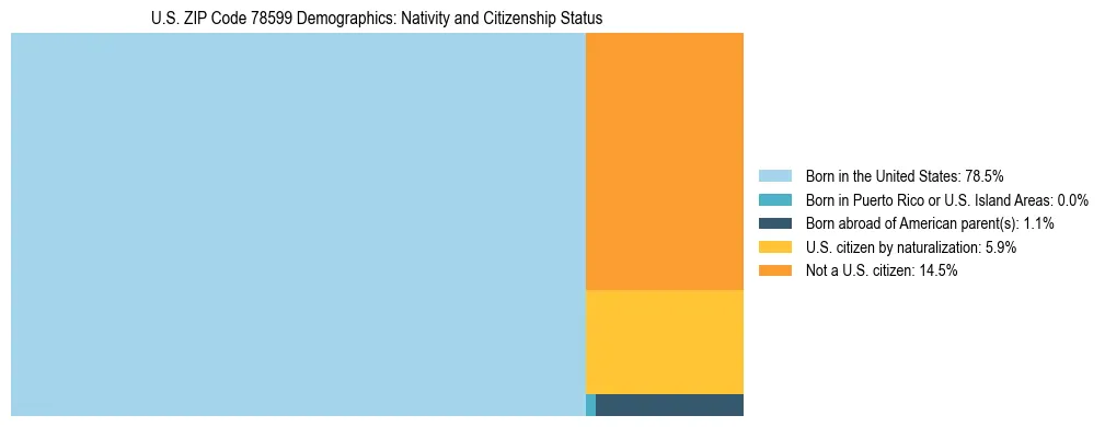 Treemap showing the population distribution by nativity and citizenship status in US ZIP Code 78599 based on U.S. Census data.