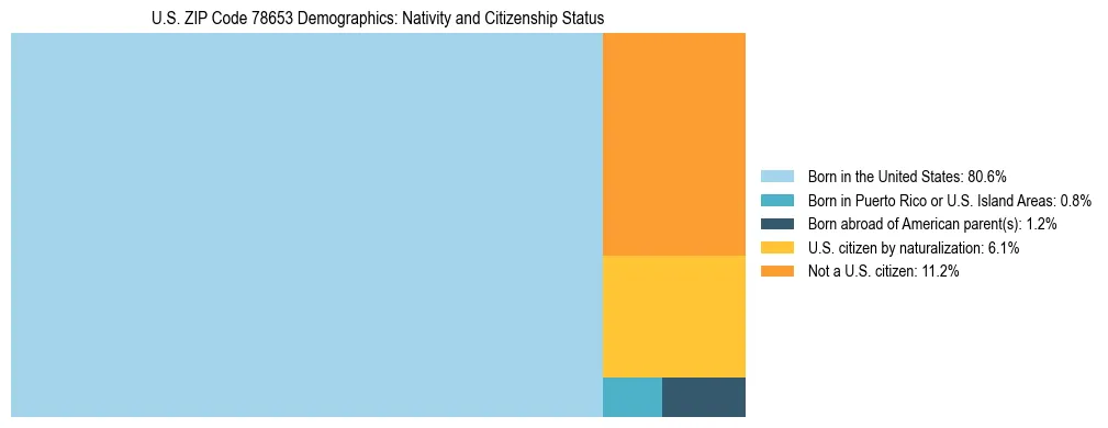 Treemap showing the population distribution by nativity and citizenship status in US ZIP Code 78653 based on U.S. Census data.