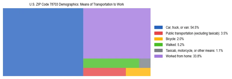 Treemap showing means of transportation to work distribution in US ZIP Code 78703.
