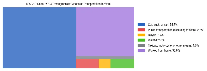 Treemap showing means of transportation to work distribution in US ZIP Code 78704.