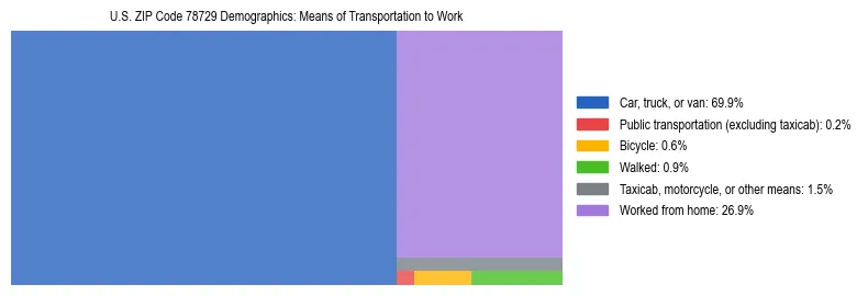 Treemap showing means of transportation to work distribution in US ZIP Code 78729.
