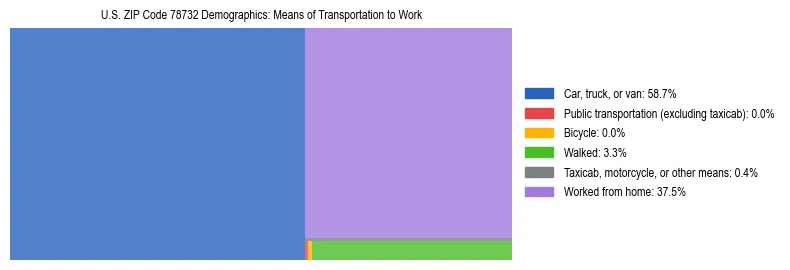 Treemap showing means of transportation to work distribution in US ZIP Code 78732.