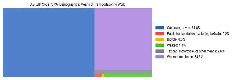 Treemap showing means of transportation to work distribution in US ZIP Code 78737.