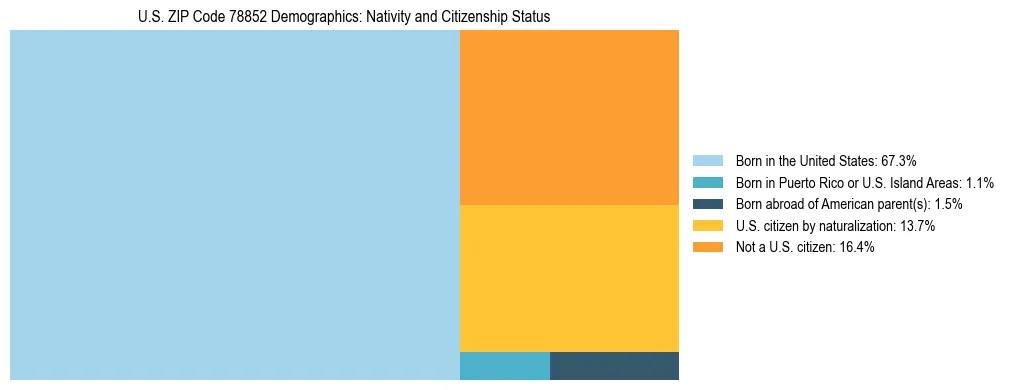 Treemap showing the population distribution by nativity and citizenship status in US ZIP Code 78852 based on U.S. Census data.