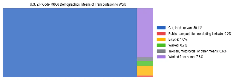 Treemap showing means of transportation to work distribution in US ZIP Code 79606.