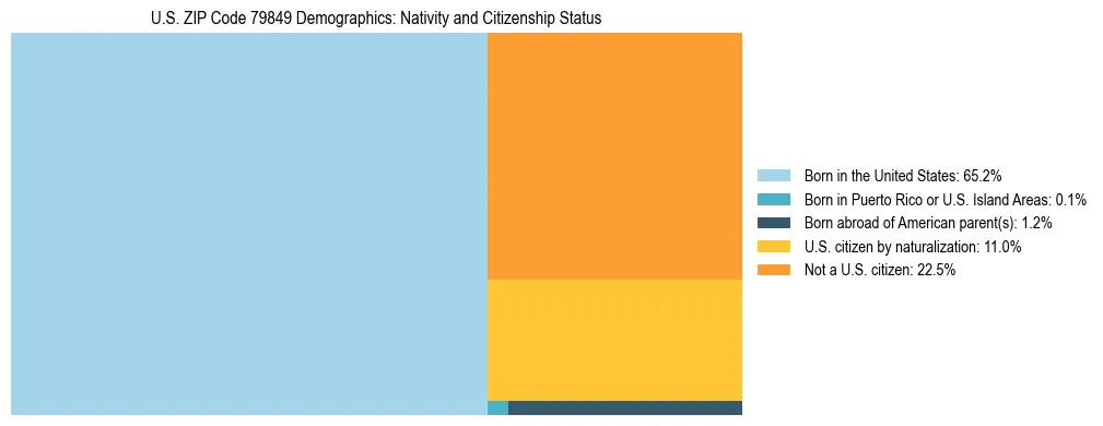 Treemap showing the population distribution by nativity and citizenship status in US ZIP Code 79849 based on U.S. Census data.