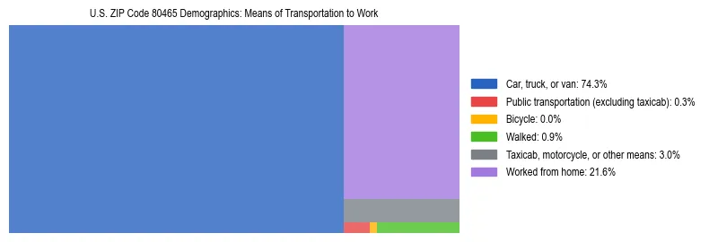 Treemap showing means of transportation to work distribution in US ZIP Code 80465.