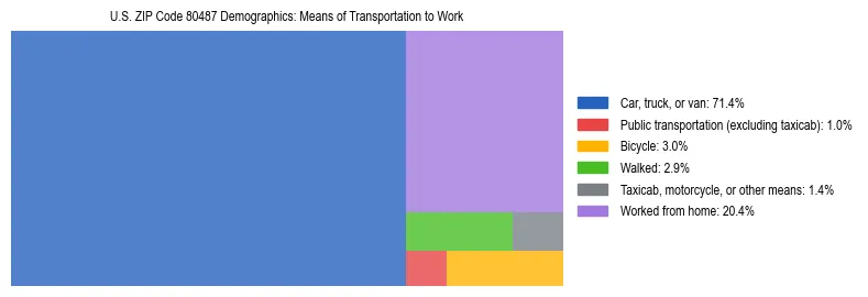 Treemap showing means of transportation to work distribution in US ZIP Code 80487.