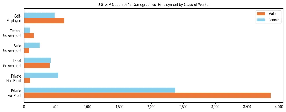 Horizontal bar chart showing employment distribution by class of worker and gender in US ZIP Code 80513, based on 2023 ACS data.