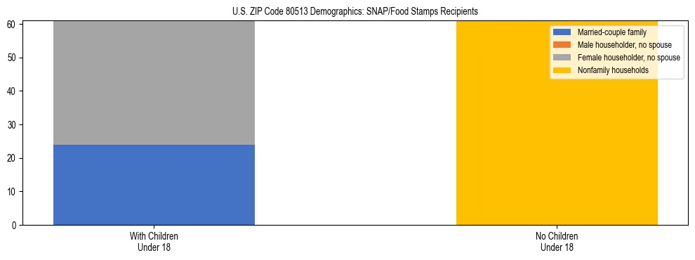 Stacked bar chart showing SNAP/Food Stamps recipient household composition by presence of children under 18 in US ZIP Code 80513, based on 2023 ACS data.