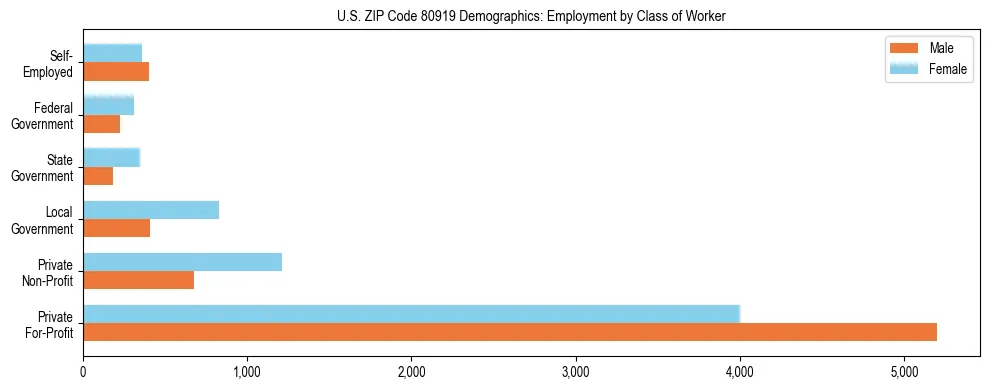 Horizontal bar chart showing employment distribution by class of worker and gender in US ZIP Code 80919, based on 2023 ACS data.