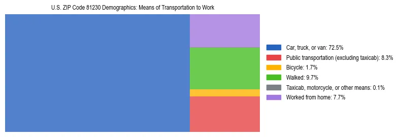 Treemap showing means of transportation to work distribution in US ZIP Code 81230.