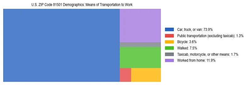 Treemap showing means of transportation to work distribution in US ZIP Code 81501.
