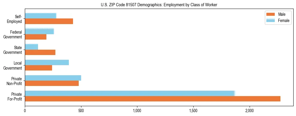 Horizontal bar chart showing employment distribution by class of worker and gender in US ZIP Code 81507, based on 2023 ACS data.