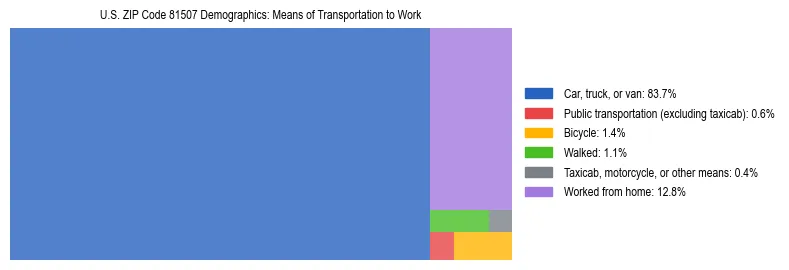 Treemap showing means of transportation to work distribution in US ZIP Code 81507.
