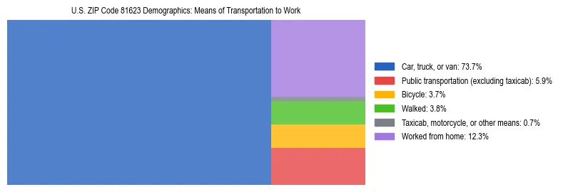 Treemap showing means of transportation to work distribution in US ZIP Code 81623.