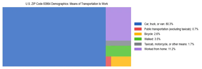 Treemap showing means of transportation to work distribution in US ZIP Code 83864.