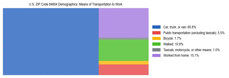 Treemap showing means of transportation to work distribution in US ZIP Code 84604.