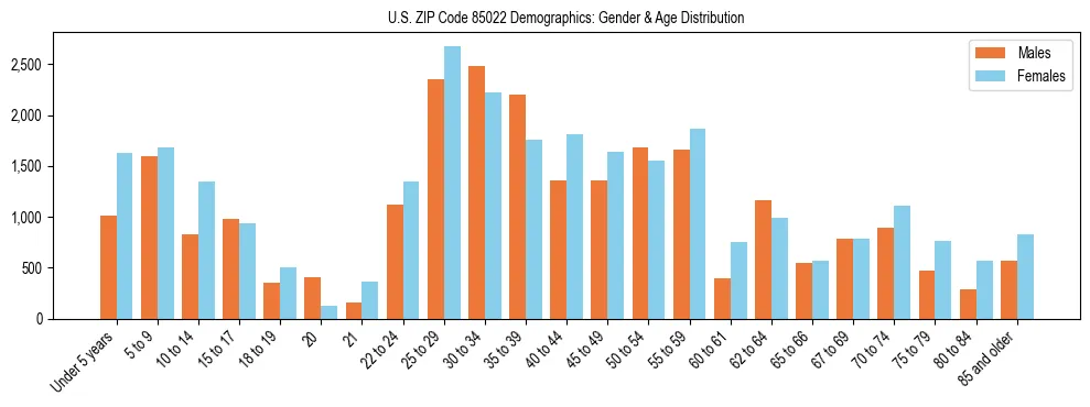 Bar chart showing the population distribution of US ZIP Code 85022 by age group and gender, based on 2023 ACS data.