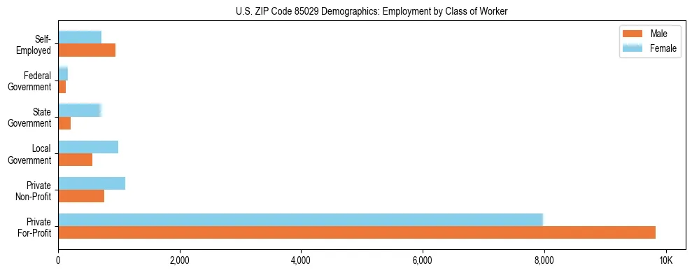 Horizontal bar chart showing employment distribution by class of worker and gender in US ZIP Code 85029, based on 2023 ACS data.